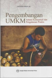 Image of Pengembangan UMKM : antara konseptual dan pengalaman praktis