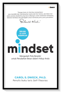 Image of Mindset